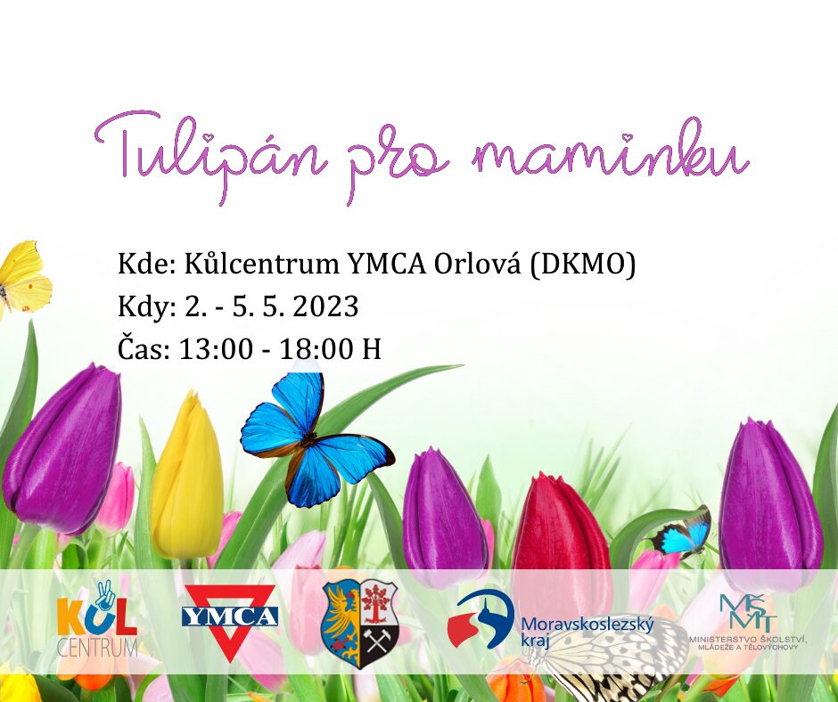 Tulipan_pro_maminku.jpg
